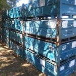 Item #836: Steel Vented Bins 36" x 72" x 26" o/h (18" ID).